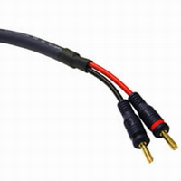 10ft 12 AWG Velocity Speaker Cable